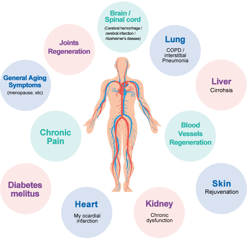 art of medicine pain specialists